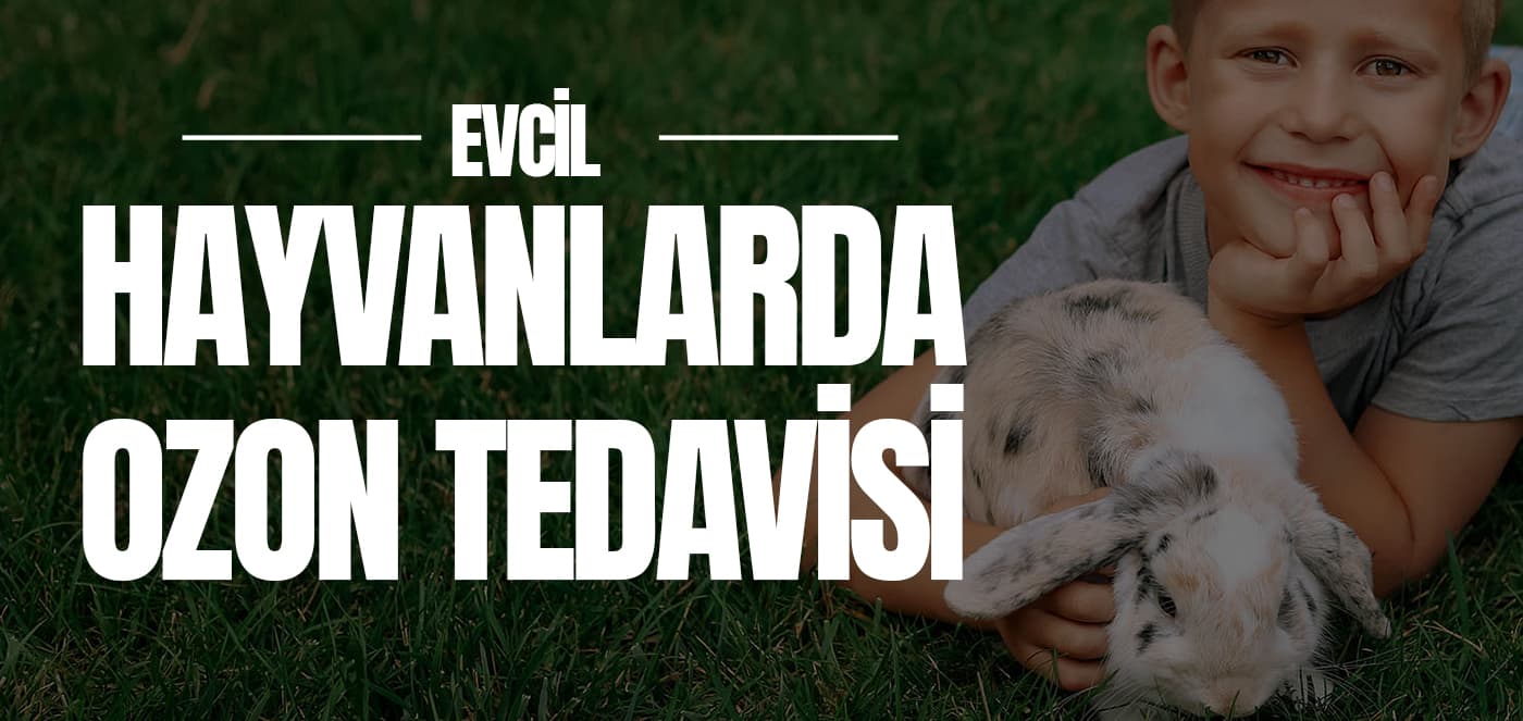 Ozon Tedavisi